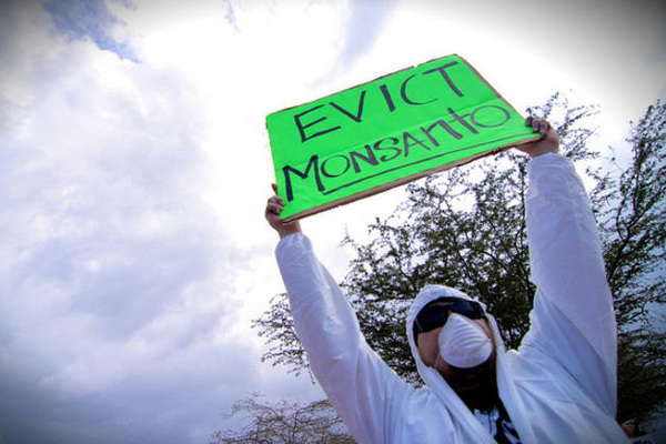 monsanto 04